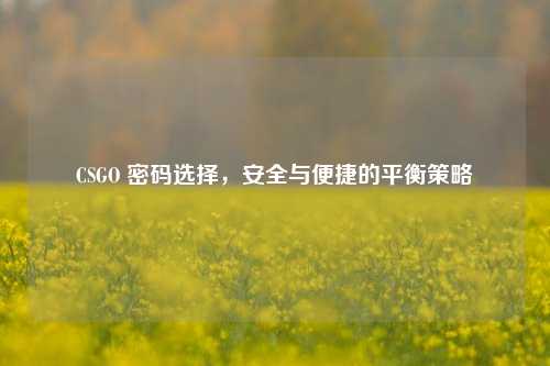 CSGO 密码选择，安全与便捷的平衡策略