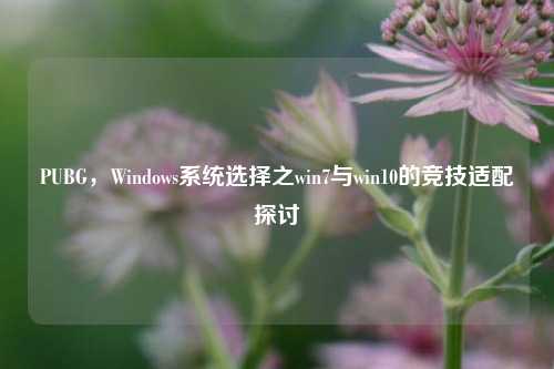 PUBG，Windows系统选择之win7与win10的竞技适配探讨