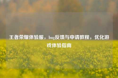 王者荣耀体验服，bug反馈与申请教程，优化游戏体验指南