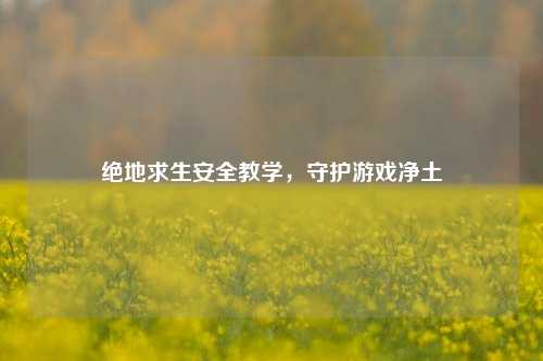 绝地求生安全教学，守护游戏净土