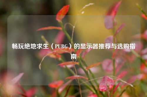 畅玩绝地求生（PUBG）的显示器推荐与选购指南