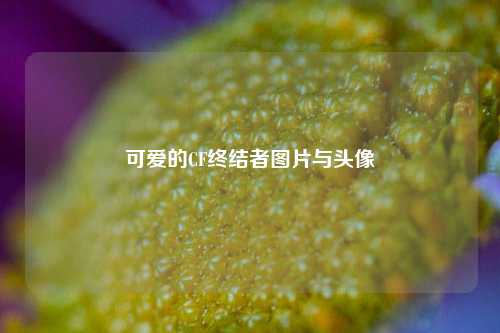 可爱的CF终结者图片与头像