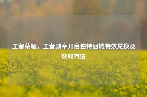 王者荣耀，王者勋章开启独特回城特效兑换及获取方法