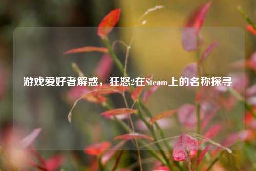 游戏爱好者解惑，狂怒2在Steam上的名称探寻
