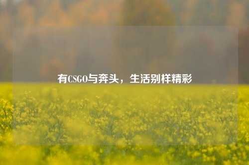有CSGO与奔头，生活别样精彩