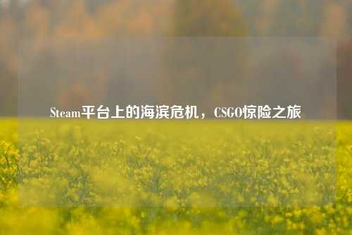 Steam平台上的海滨危机，CSGO惊险之旅