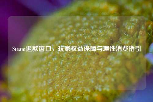 Steam退款窗口，玩家权益保障与理性消费指引