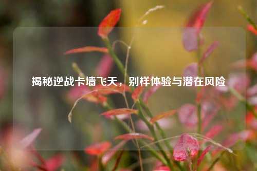 揭秘逆战卡墙飞天，别样体验与潜在风险