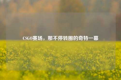 CSGO赛场，那不停转圈的奇特一幕