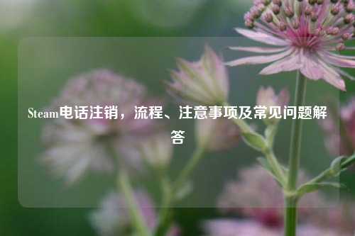 Steam电话注销，流程、注意事项及常见问题解答