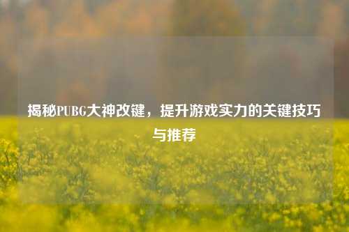 揭秘PUBG大神改键，提升游戏实力的关键技巧与推荐