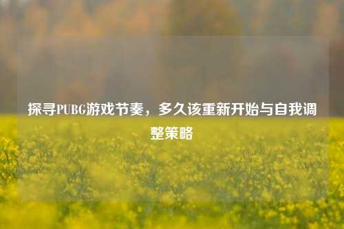 探寻PUBG游戏节奏，多久该重新开始与自我调整策略