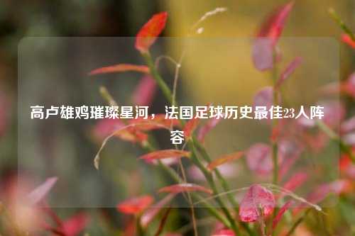 高卢雄鸡璀璨星河，法国足球历史最佳23人阵容