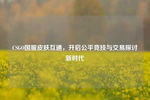 CSGO国服皮肤互通，开启公平竞技与交易探讨新时代