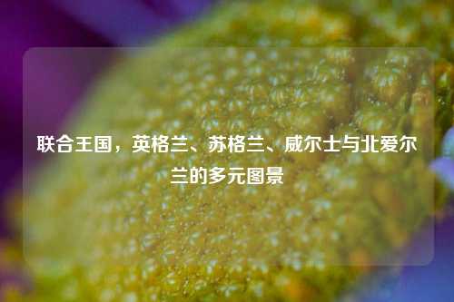 联合王国，英格兰、苏格兰、威尔士与北爱尔兰的多元图景