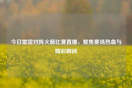 今日雷霆对阵火箭比赛直播，聚焦赛场热血与精彩瞬间