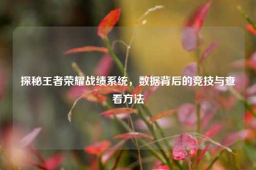 探秘王者荣耀战绩系统，数据背后的竞技与查看方法