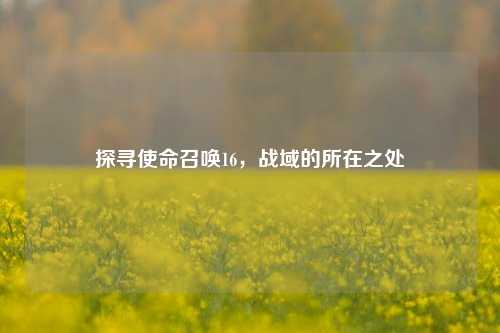 探寻使命召唤16，战域的所在之处
