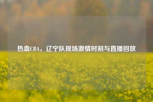 热血CBA，辽宁队现场激情时刻与直播回放