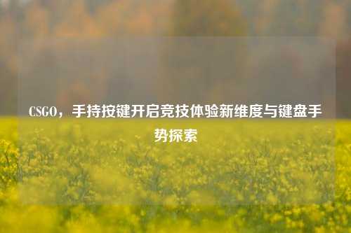 CSGO，手持按键开启竞技体验新维度与键盘手势探索