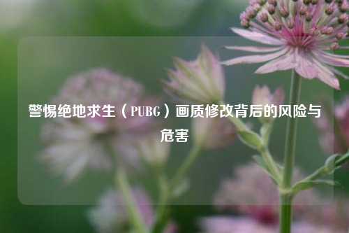警惕绝地求生（PUBG）画质修改背后的风险与危害