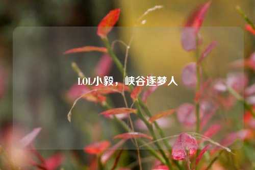 LOL小毅，峡谷逐梦人