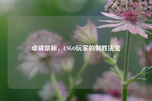 卓威鼠标，CSGO玩家的制胜法宝