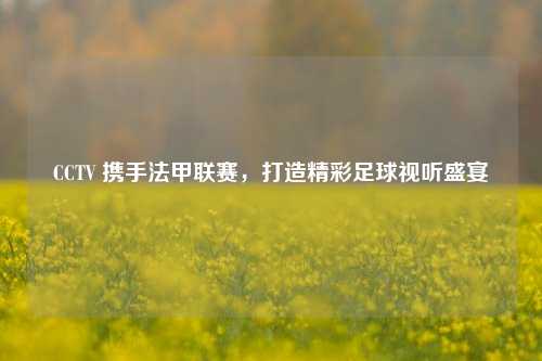 CCTV 携手法甲联赛，打造精彩足球视听盛宴