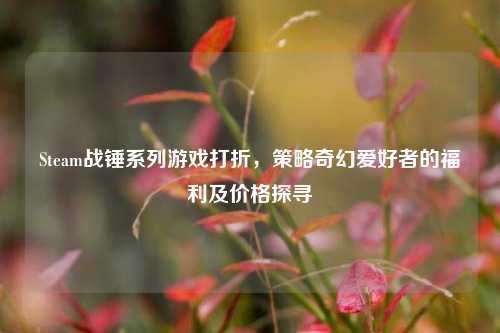 Steam战锤系列游戏打折，策略奇幻爱好者的福利及价格探寻