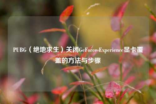 PUBG（绝地求生）关闭GeForce Experience显卡覆盖的方法与步骤
