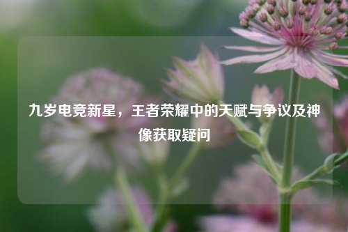 九岁电竞新星，王者荣耀中的天赋与争议及神像获取疑问