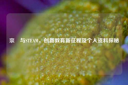 宗珣与STEAM，创新教育新征程及个人资料探秘