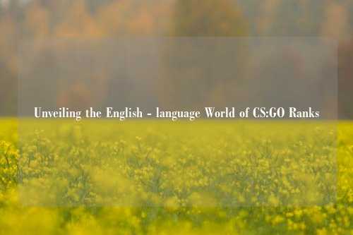 Unveiling the English - language World of CS:GO Ranks