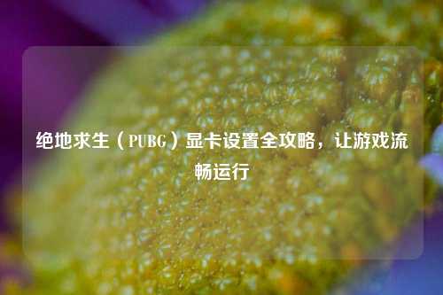 绝地求生（PUBG）显卡设置全攻略，让游戏流畅运行