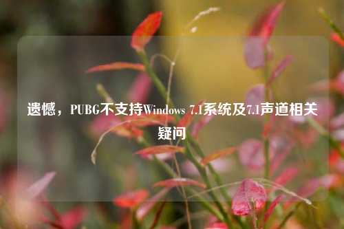 遗憾，PUBG不支持Windows 7.1系统及7.1声道相关疑问
