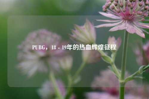 PUBG，18 - 19年的热血辉煌征程