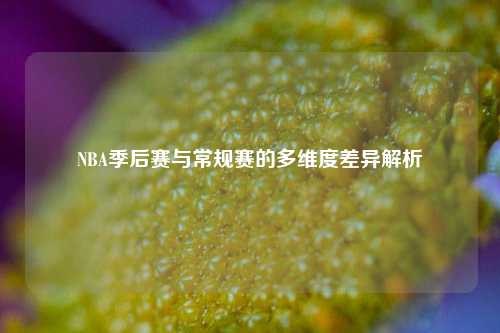 NBA季后赛与常规赛的多维度差异解析