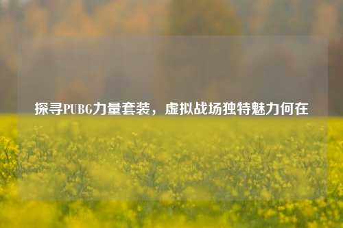 探寻PUBG力量套装，虚拟战场独特魅力何在