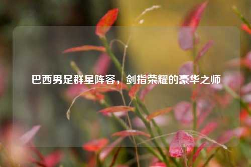 巴西男足群星阵容，剑指荣耀的豪华之师