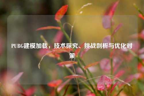 PUBG建模加载，技术探究、挑战剖析与优化对策