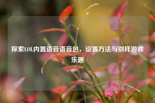 探索LOL内置语音语音包，设置方法与别样游戏乐趣