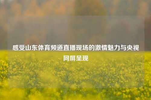 感受山东体育频道直播现场的激情魅力与央视同屏呈现