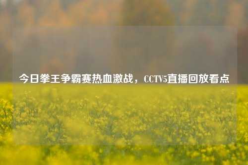 今日拳王争霸赛热血激战，CCTV5直播回放看点