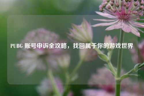 PUBG 账号申诉全攻略，找回属于你的游戏世界