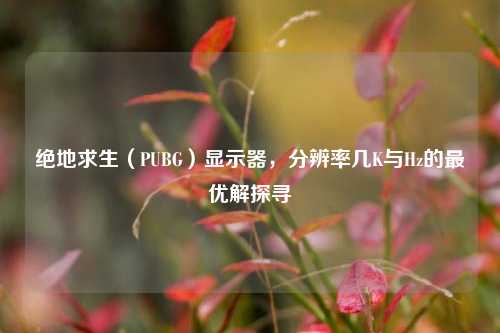 绝地求生（PUBG）显示器，分辨率几K与Hz的最优解探寻