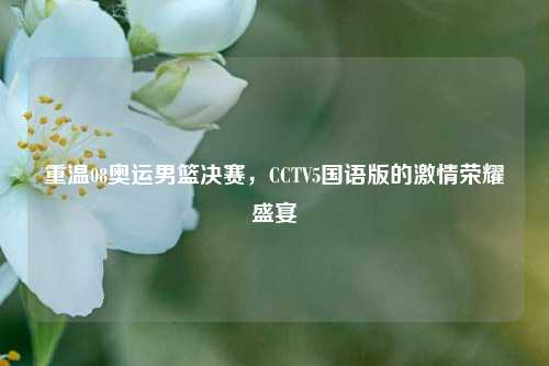 重温08奥运男篮决赛，CCTV5国语版的激情荣耀盛宴