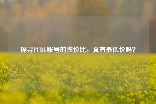 探寻PUBG账号的性价比，真有最低价吗？