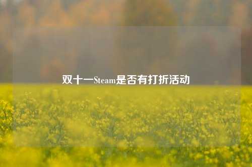 双十一Steam是否有打折活动
