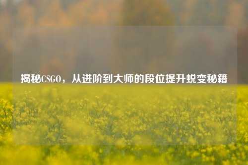 揭秘CSGO，从进阶到大师的段位提升蜕变秘籍