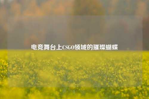 电竞舞台上CSGO领域的璀璨蝴蝶